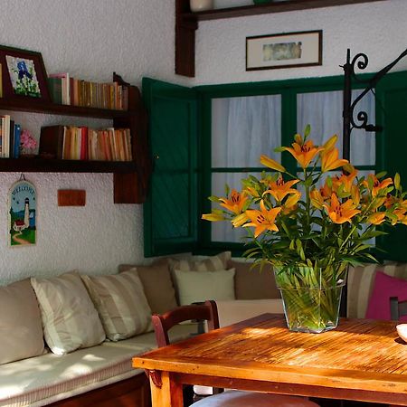 Villa Gruber Triest Zewnętrze zdjęcie